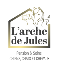 L'Arche de Jules