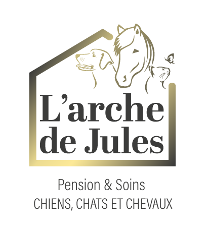 Pension soins pour Chiens Chats et Chevaux 39 71 L Arche de